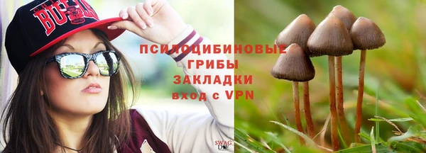 кокаин перу Богданович
