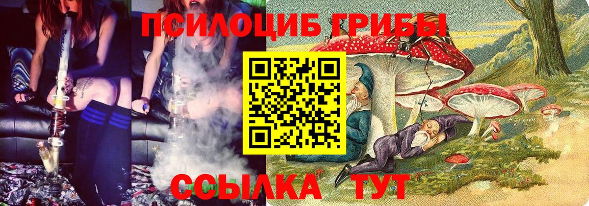 Верхняя Салда  Галлюциногенные грибы Psilocybe  Вход с VPN  хочу наркоту  Псилоцибиновые грибы ЛСД 