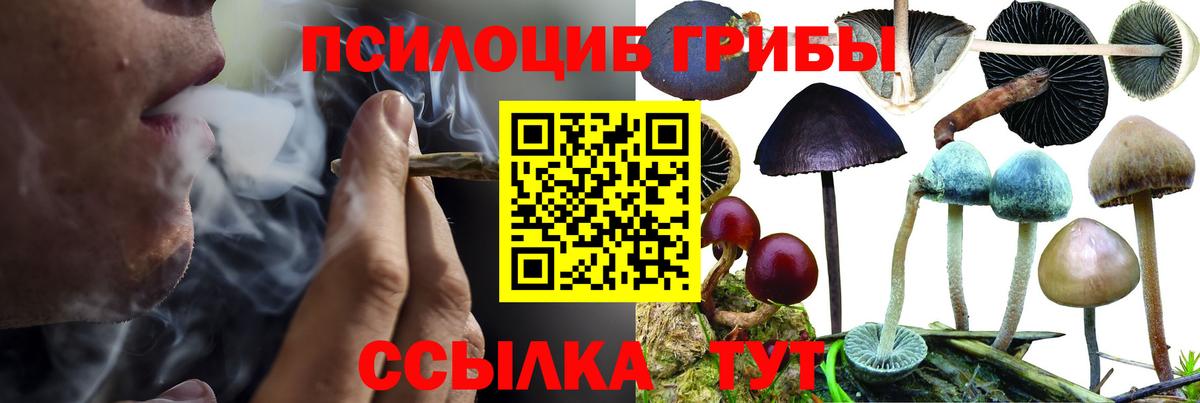 Галлюциногенные грибы Psilocybine cubensis Верхняя Салда
